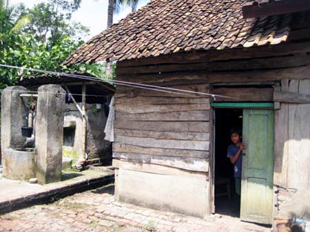 Rumah Supiah yang berada di Dusun Selorejo Desa Temurejo Kecamatan
 Bangorejo, Banyuwangi.